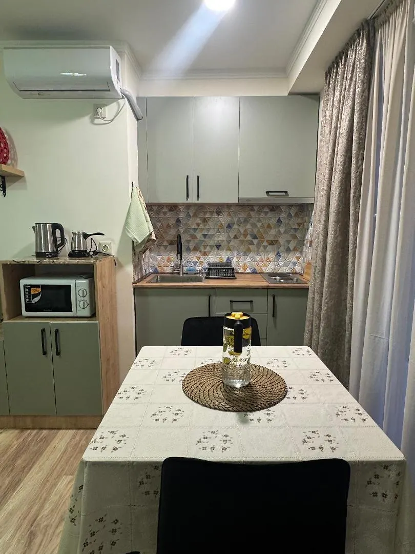 Apartment Gorgasali Tiflis